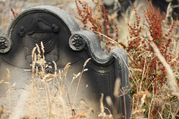 С кладбища в Тамбове вынесли 15 памятников