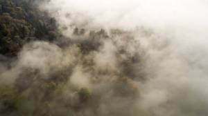 Туман, дожди и грозы ожидаются в Башкирии на выходных