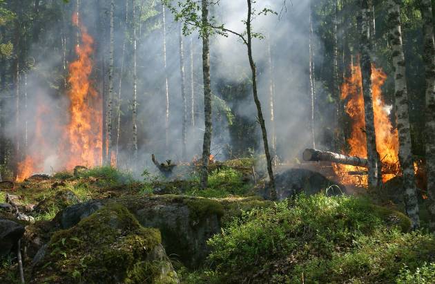 В Калининском районе Уфы из-за вспыхнувшей сухой травы сгорели шесть домов